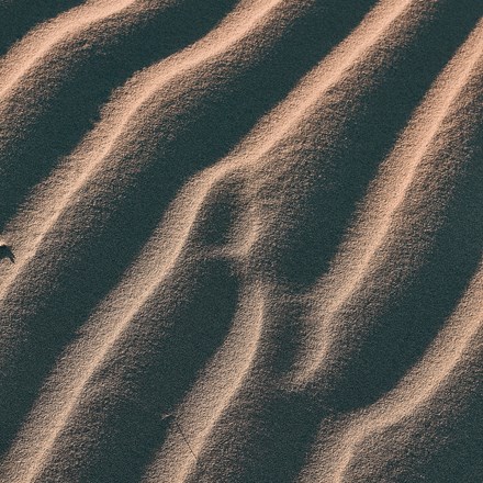 Ripple pattern in sand