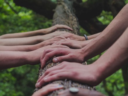 Sets of hands lined up holding tree branch