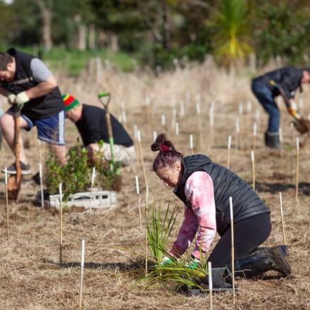 Woman planting trees alongside stakes with people planting in background
