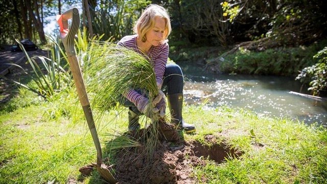 Woman by waterway kneeling by freshly dug hole about to plant native tree
