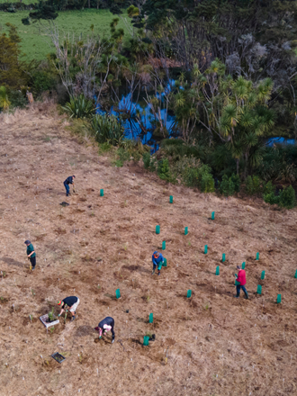 Drone image of people planting trees next to a river