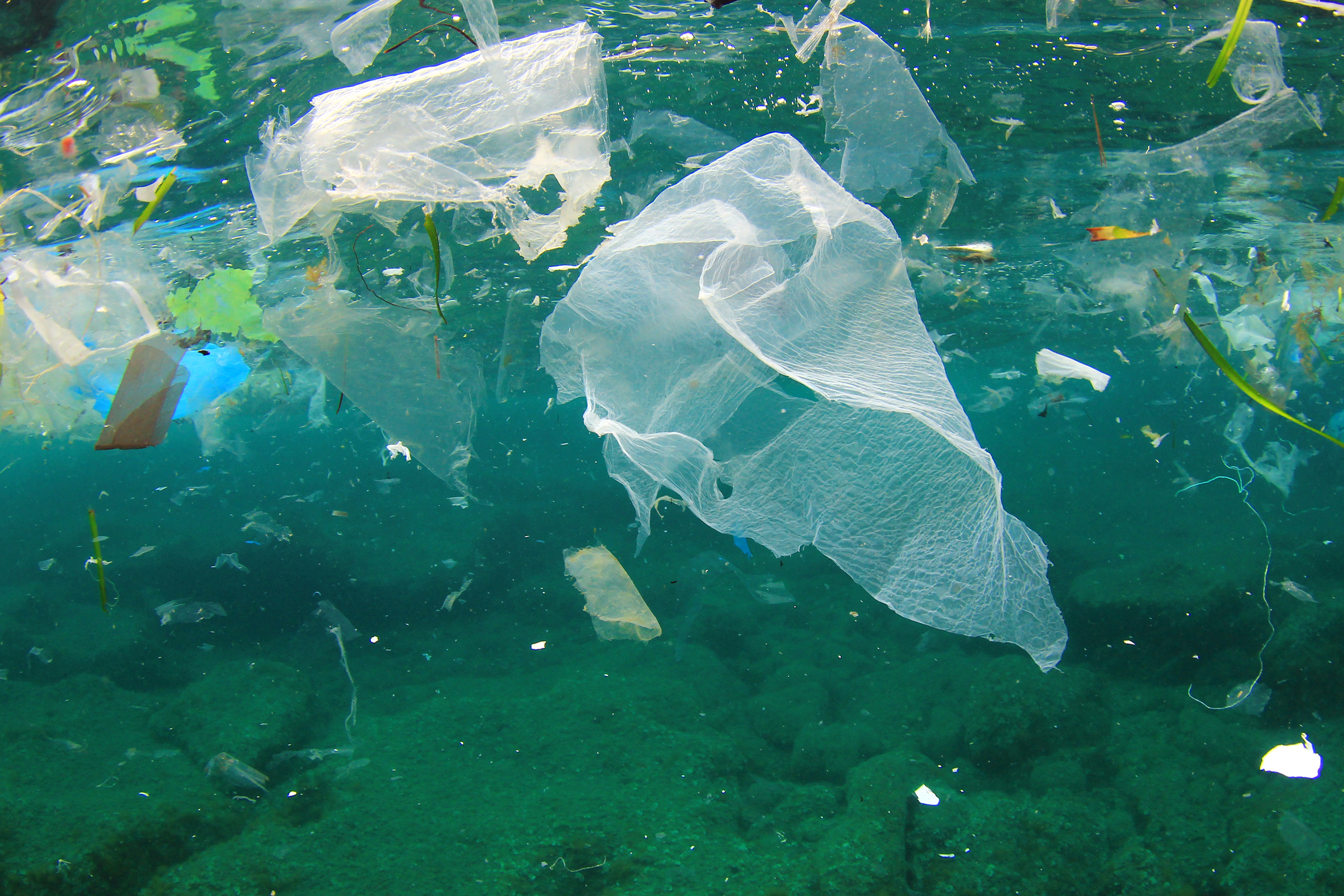 Plastic litter in ocean