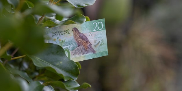Five dollar note and leaves