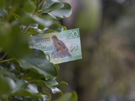 Five dollar note and leaves