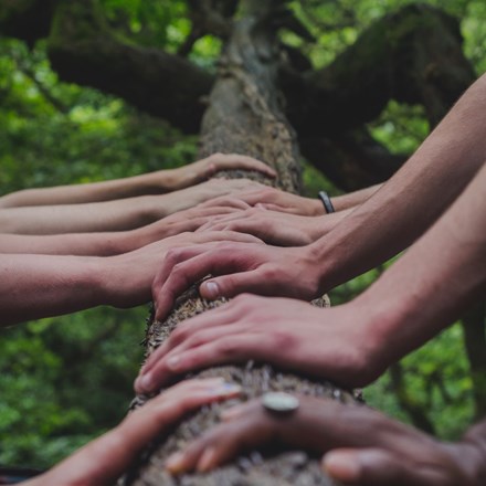Sets of hands lined up holding tree branch