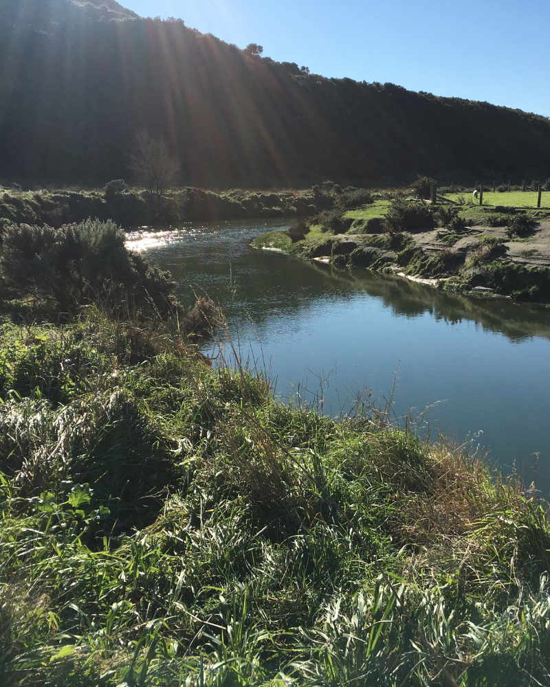 River with planting on riverbank and hill in background