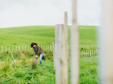 Woman digging a hole alongside a fence