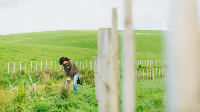 Woman digging a hole alongside a fence
