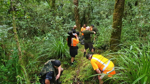 Group working in bush