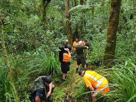 Group working in bush