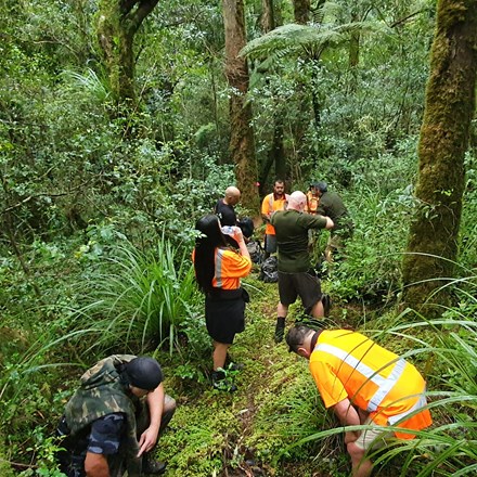Group working in bush