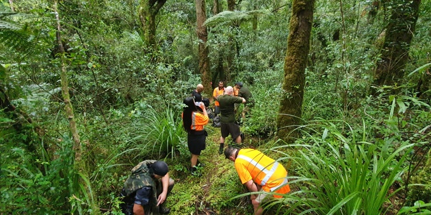 Group working in bush