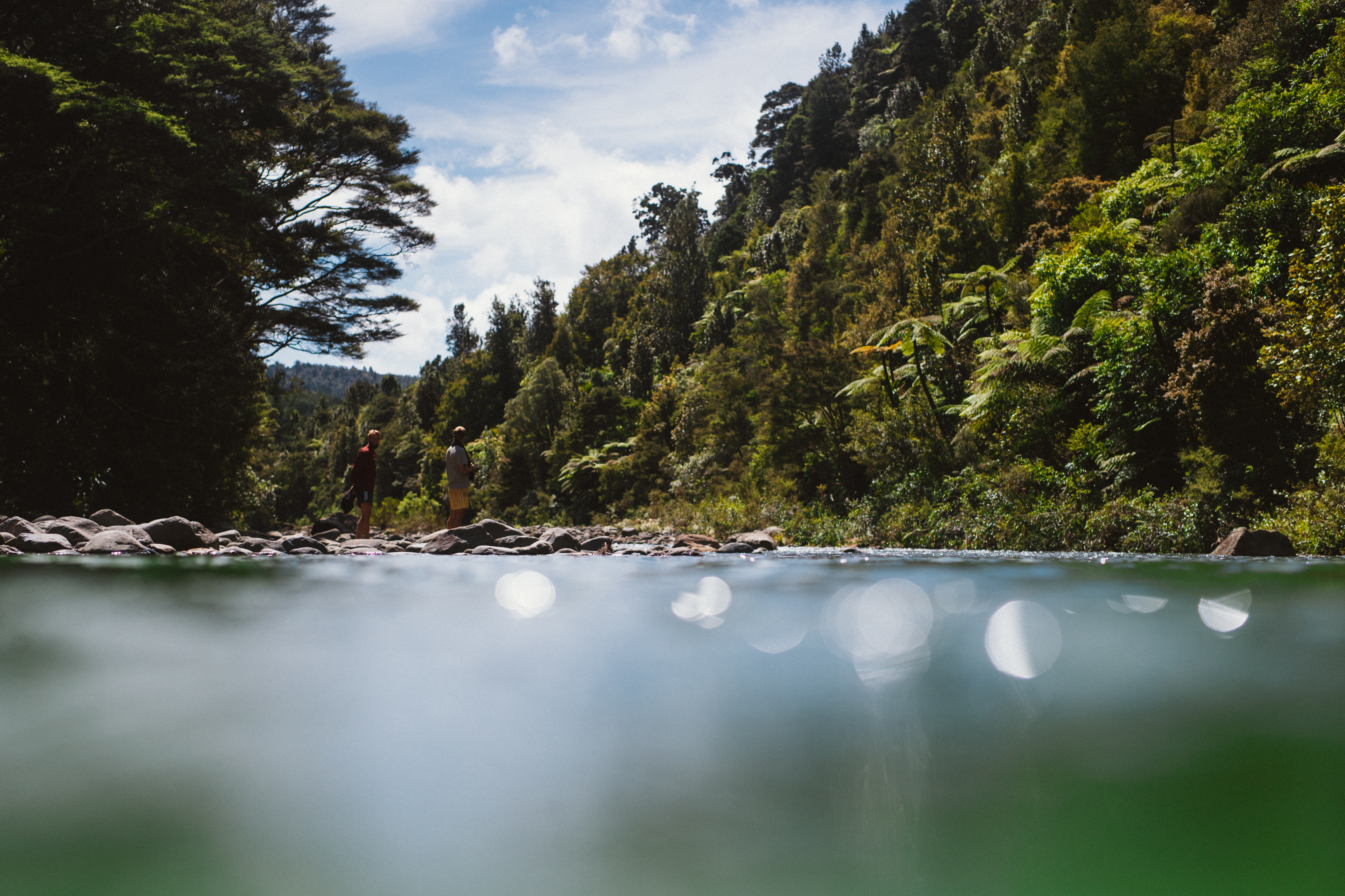 Two people standing by a stream surrounded by native vegetation