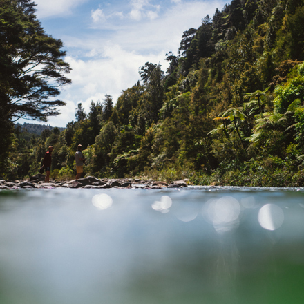Two people standing by a stream surrounded by native vegetation