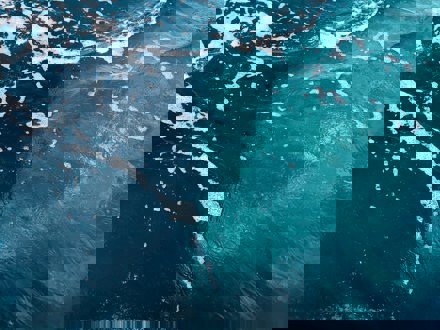 Close up of water in sea