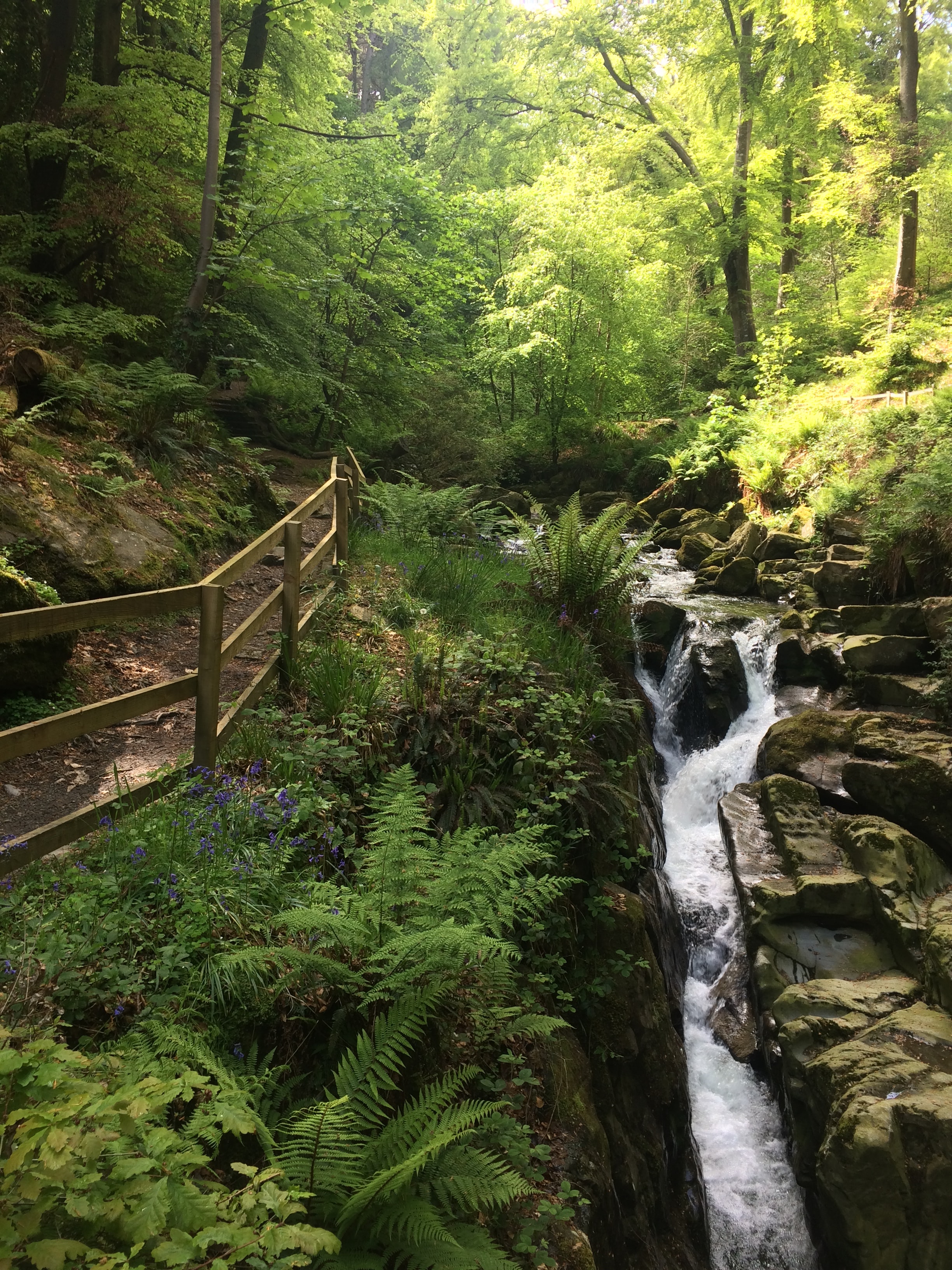 Water flowing through rocks alongside walkway with wooden rail