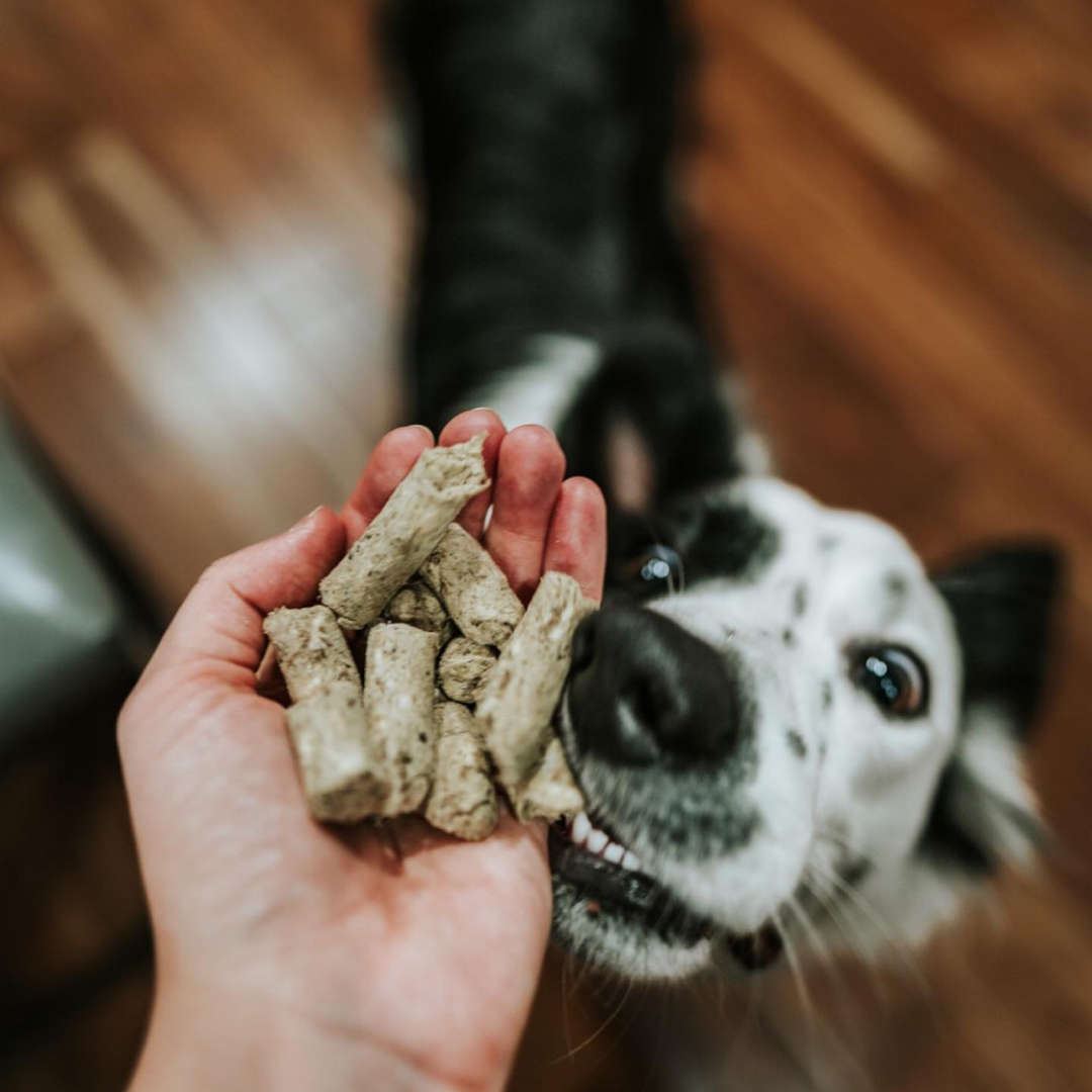 Dog and petfood pellets