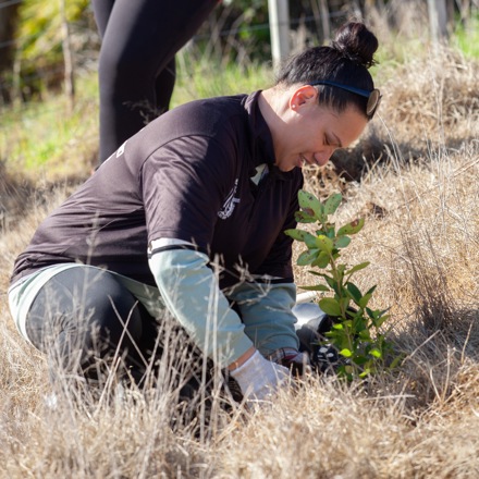 Woman plants seedling