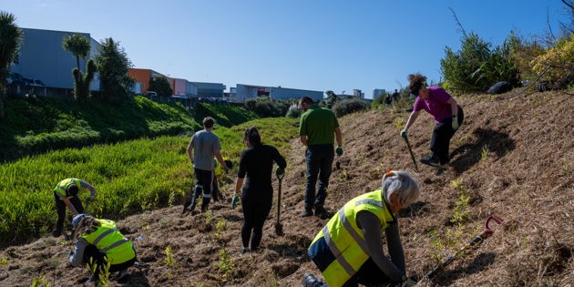 Planting in the Puhinui