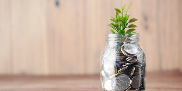 Money in a jar with a green plant