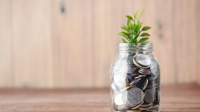 Money in a jar with a green plant