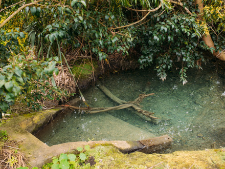 Concrete section within stream