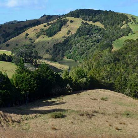 Landscape of Forest Bridge Trust