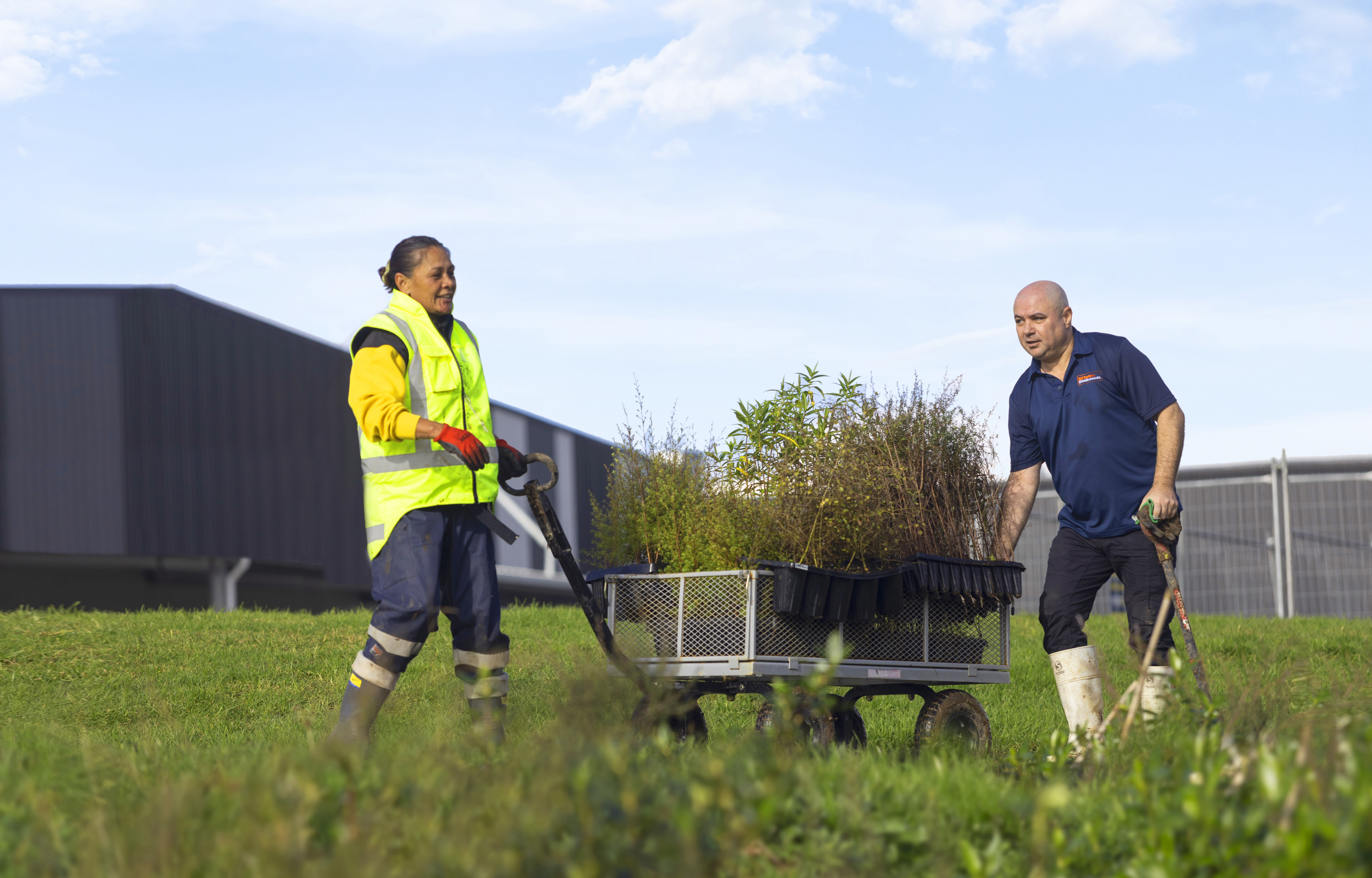 Two people with a trolley of seedlings for planting