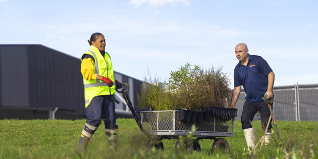 Two people with a trolley of seedlings for planting