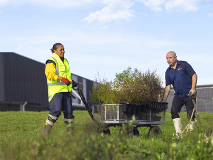 Two people with a trolley of seedlings for planting