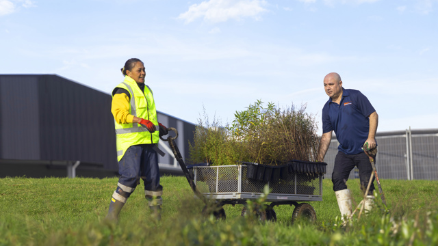 Two people with a trolley of seedlings for planting