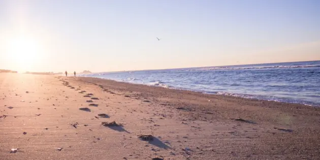 beach front with people in the distance