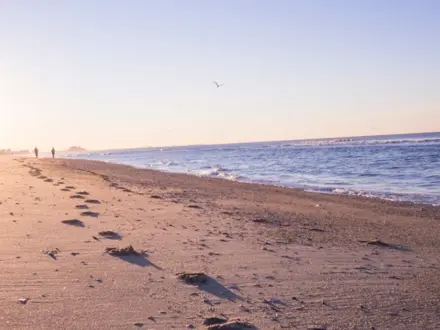 beach front with people in the distance
