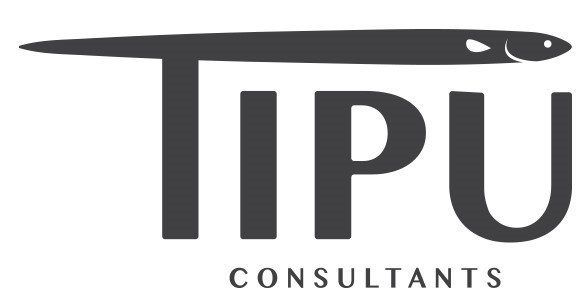 Tipu Consultants Limited