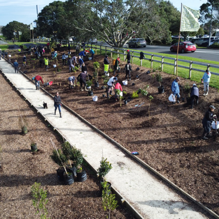 Planting and landscaping at Ngāti Whātua Ōrake