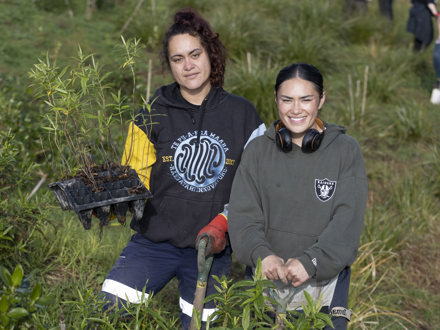 Workers on regeneration project