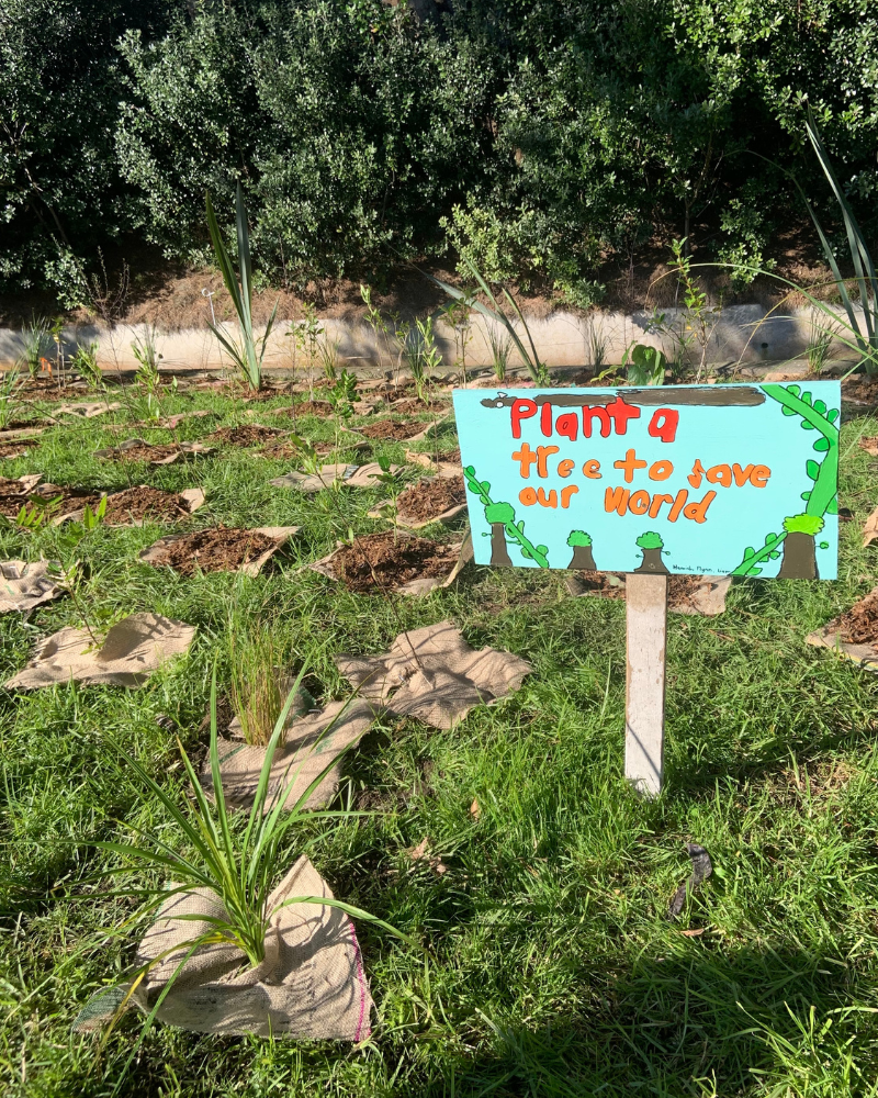 Sign saying plant a tree to save our world in front of new plants that have been planted