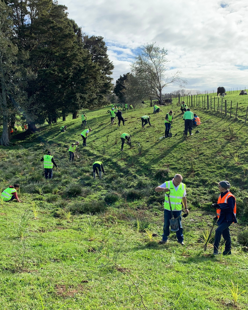 Multiple people in high vis vests planting trees next to a fenceline