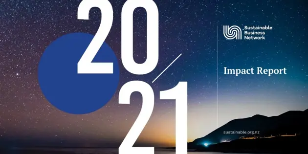 Impact Report banner