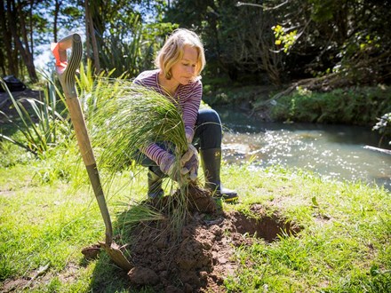 Woman by waterway kneeling by freshly dug hole about to plant native tree