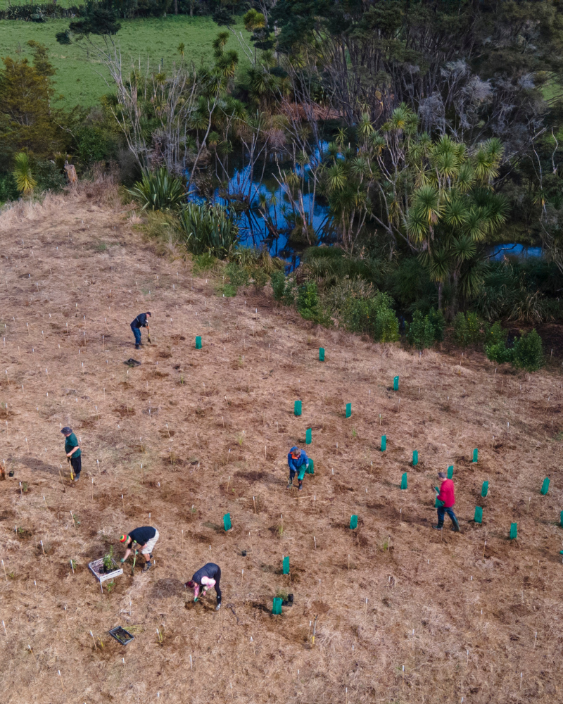 Drone image of people planting trees next to a river