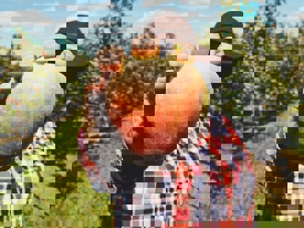 Person holding up apple to camera with orchard in background