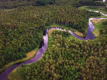 Aerial view of river winding through bush