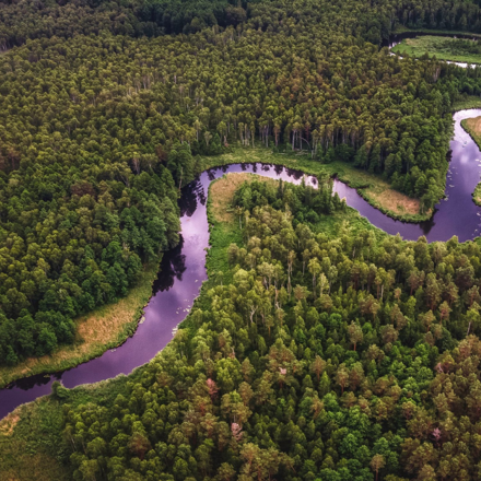 Aerial view of river winding through bush