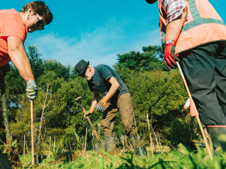 Three people staking new plantings