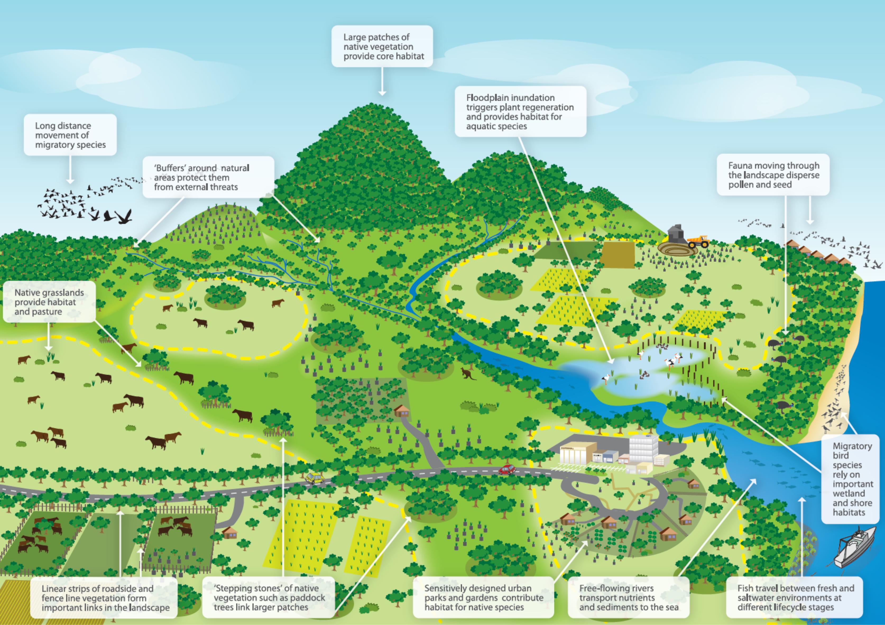 Landscape elements that contribute to wildlife corridors