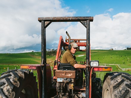 Farmer on tractor with cows in the background