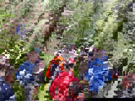 Group of people in bush