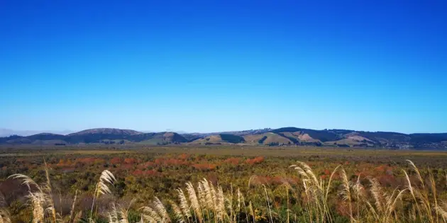 view over a wetland