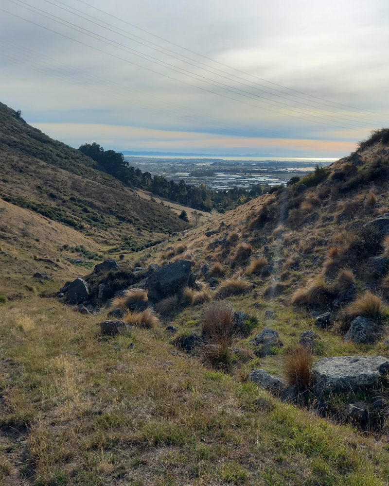Valley with rocks and grass with city in the background